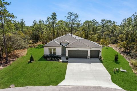 Photo of 13 Pagoda Court W, Homosassa, FL 34446 (MLS # O6355698) Photo of 13 Pagoda Court W, Homosassa, FL 34446 (MLS # O6355698)