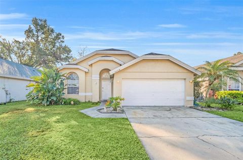 A home in APOPKA