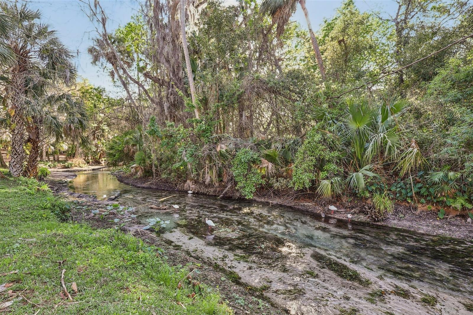 CROWN OAKS - Residential