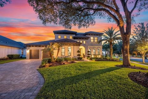 Photo of 5201 Alafia Falls Drive, Lithia, FL 33547 (MLS # TB8514791)