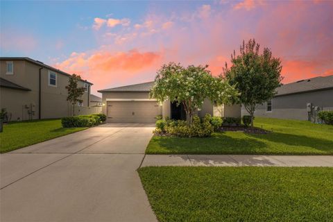 12313 CRIOLLO ROAD SPRING HILL FL 34610