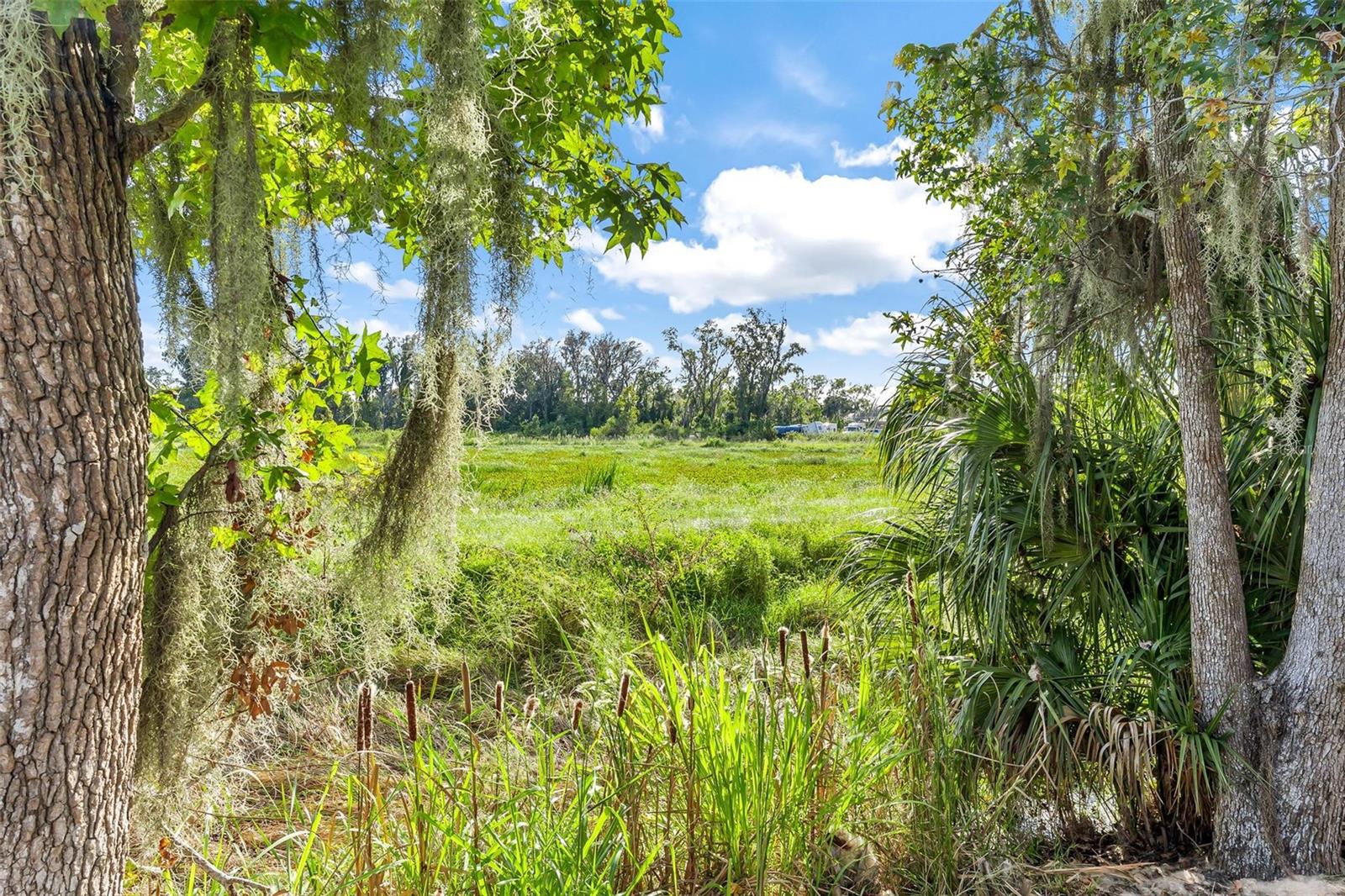 944 BELLE OAK DRIVE