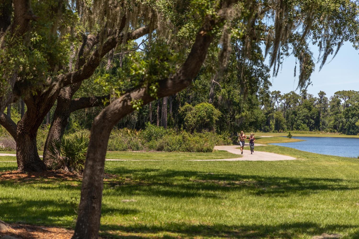STARKEY RANCH WHITFIELD PRESERVE PH 2 - Residential