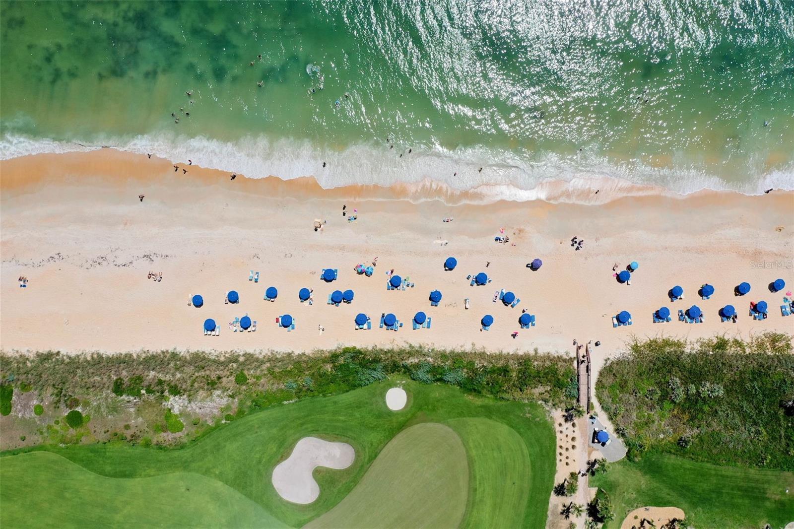 OCEAN HAMMOCK - Land