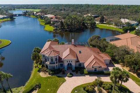 A home in PALM COAST