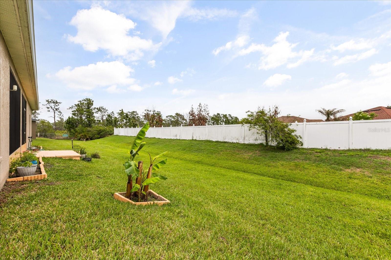 SPRINGLAKE VILLAGE PH 5B - Residential