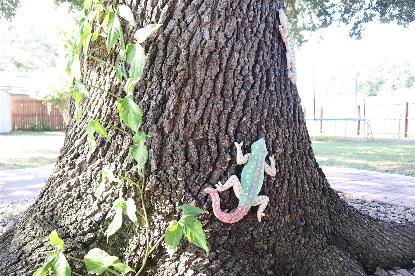 EASTWOOD TERRACE - Residential