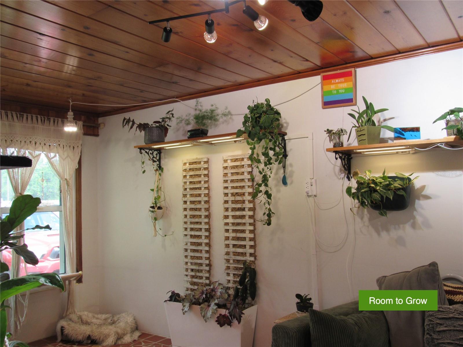 ORIGINAL LACROSSE - Residential