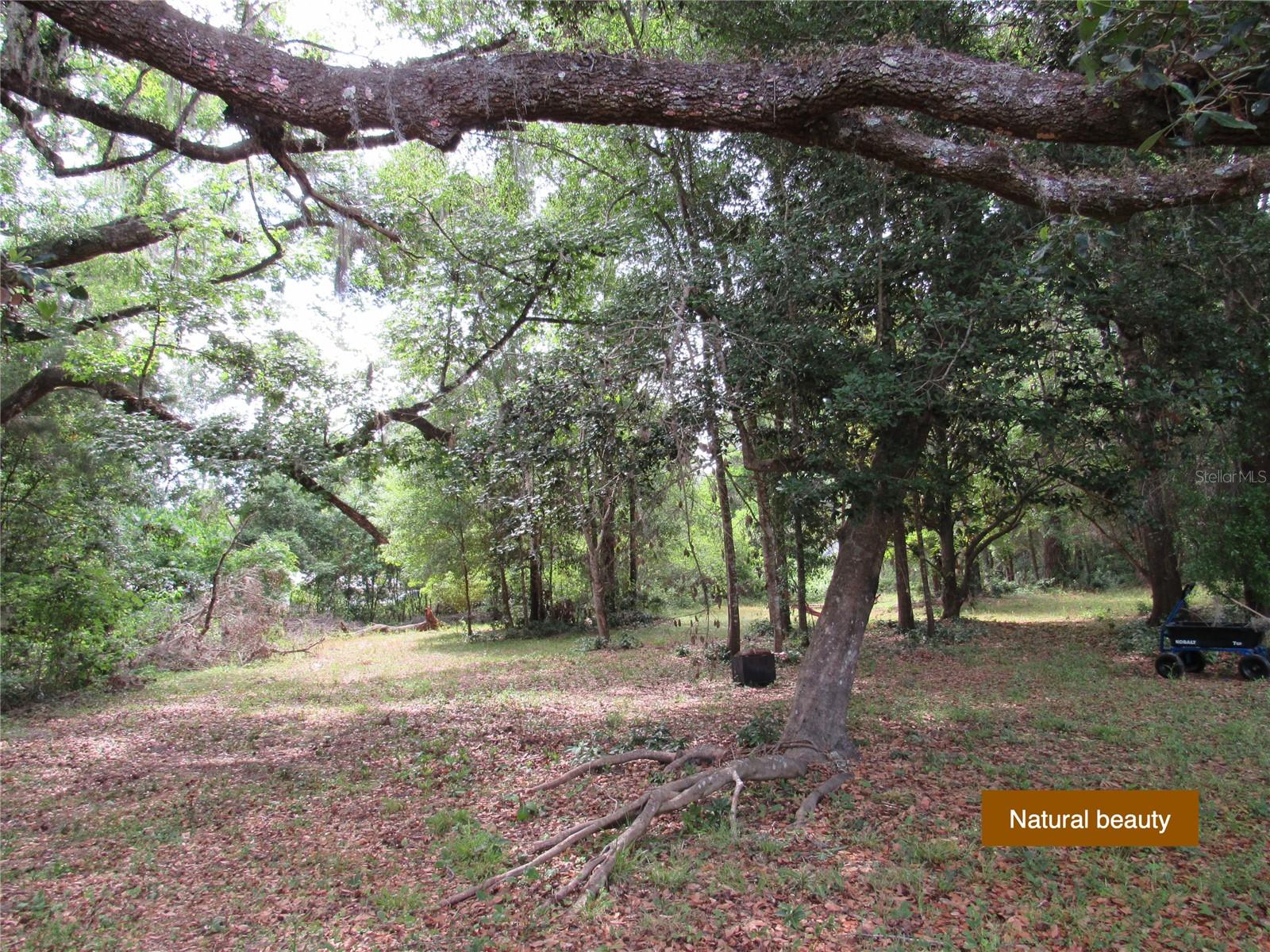 ORIGINAL LACROSSE - Residential