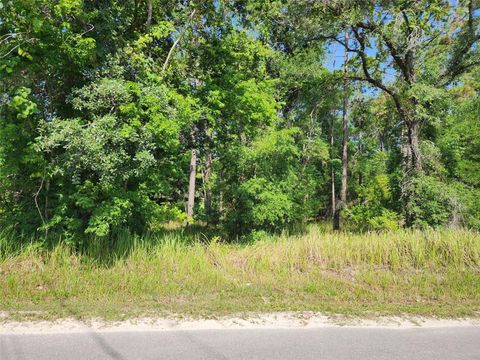SW 159TH COURT OCALA FL 34481