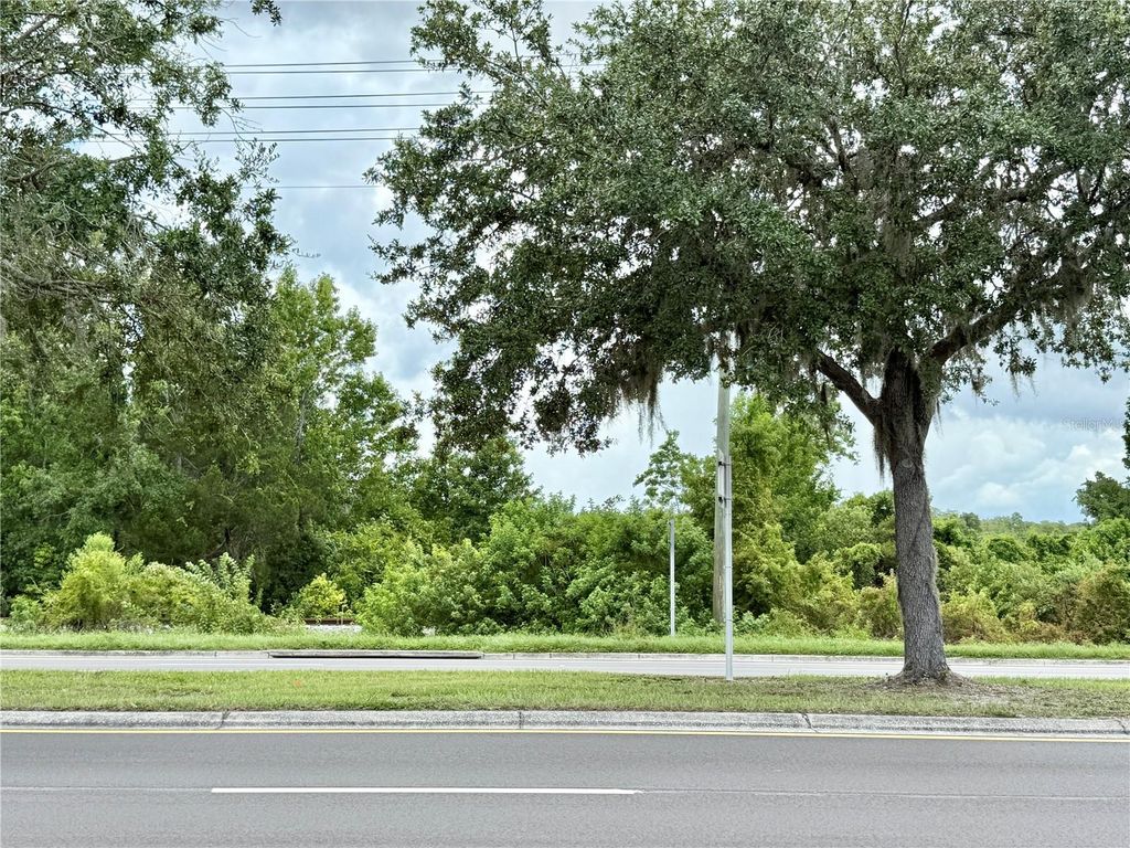 Photo of 0 Hwy 41 (24-26-18-0000-03300-0010), Land O Lakes, FL 34638 (MLS # TB8406499)