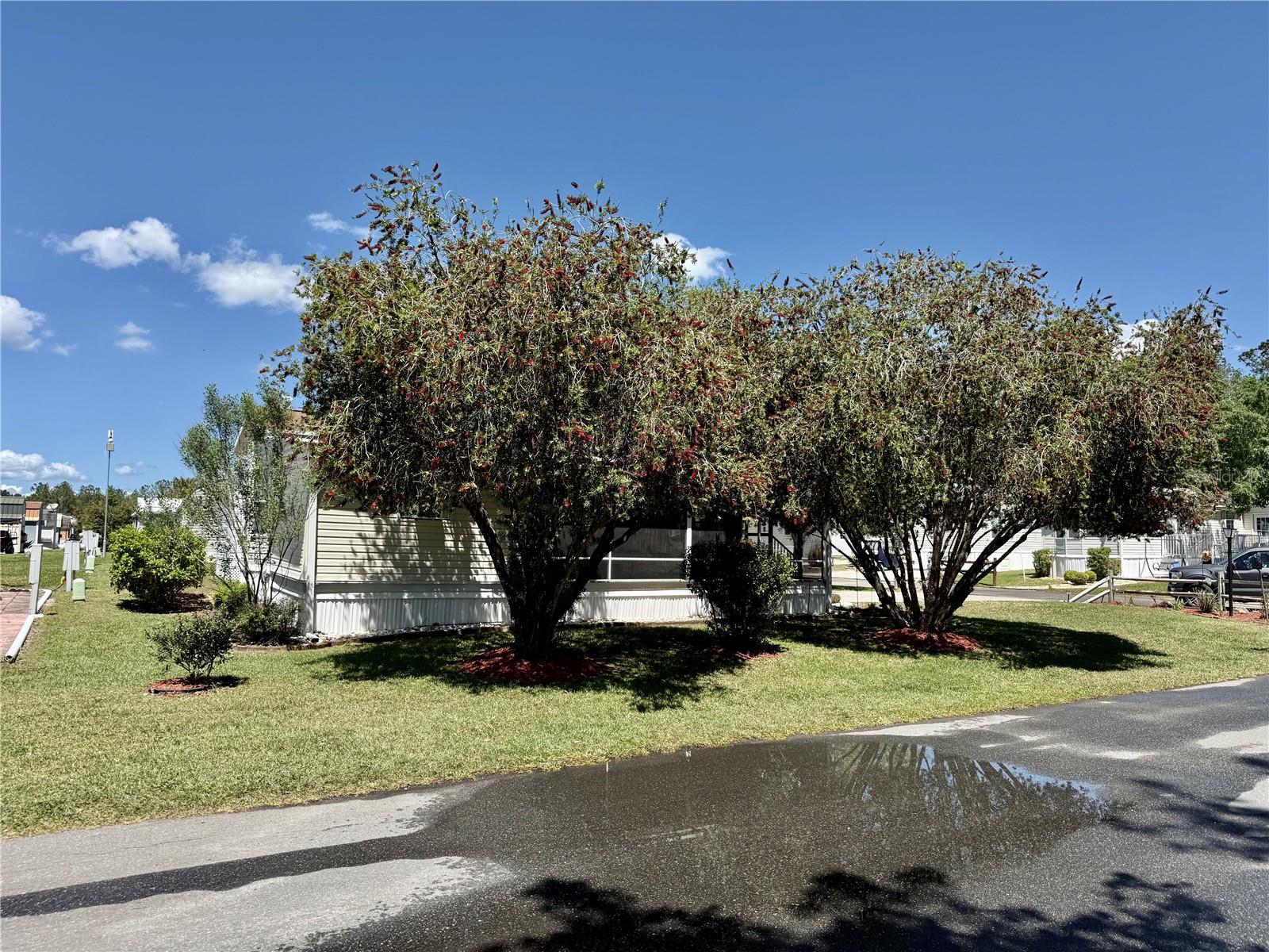 TOWN PARK AT THE WILDERNESS RV PARK ESTATES - Residential