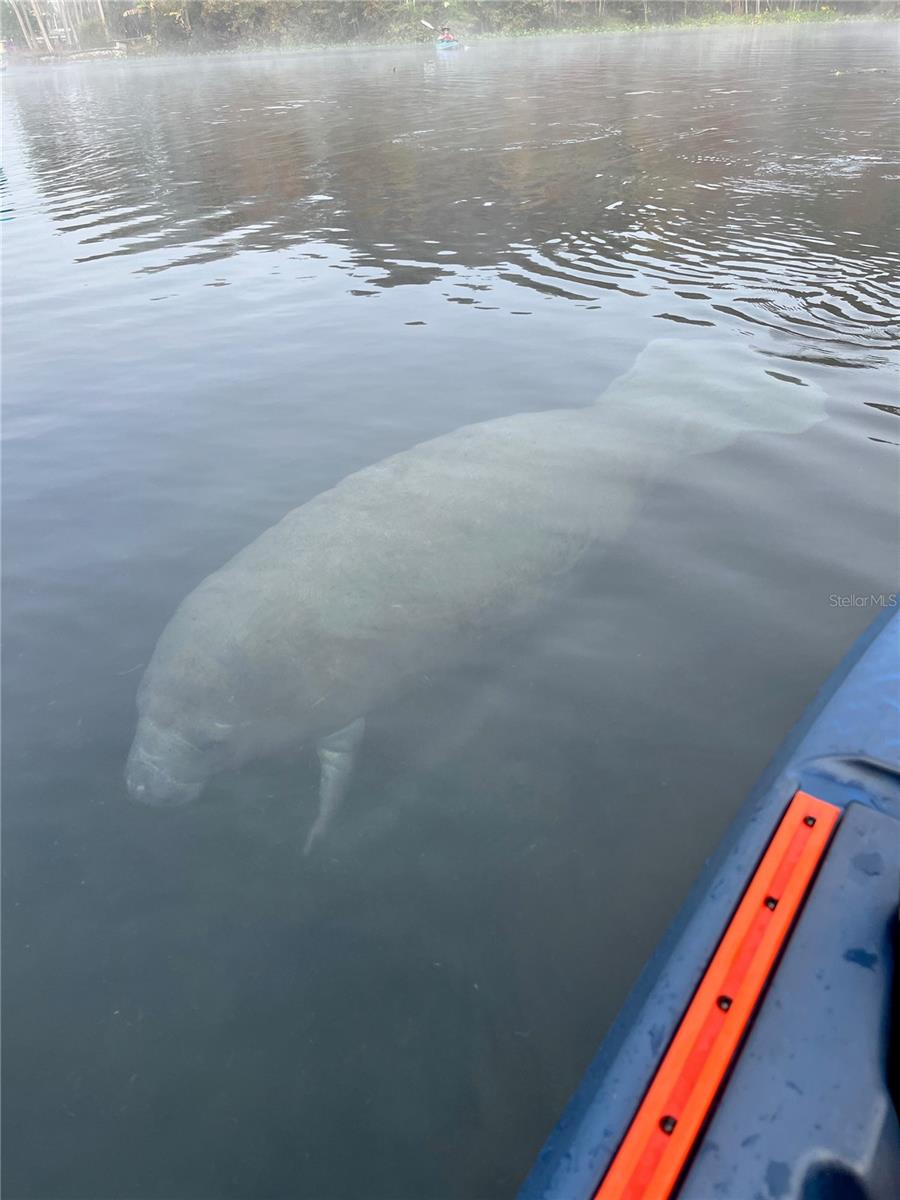 TOWN PARK AT THE WILDERNESS RV PARK ESTATES - Residential