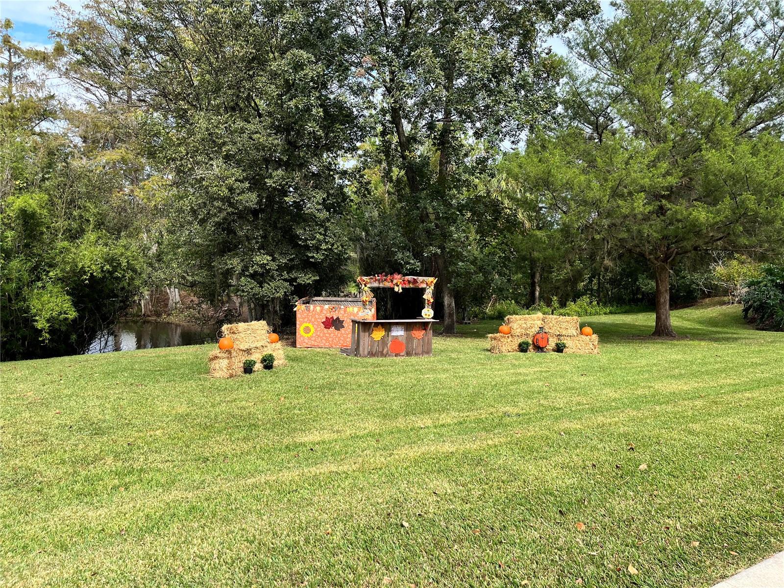 TOWN PARK AT THE WILDERNESS RV PARK ESTATES - Residential