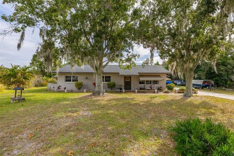 Photo of 4 Pine Street, Lake Placid, FL 33852 (MLS # S5138167)