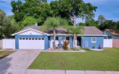 A home in VALRICO