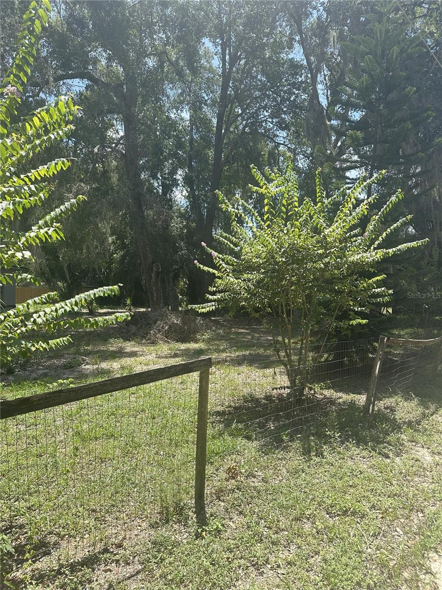 FERN DRIVE