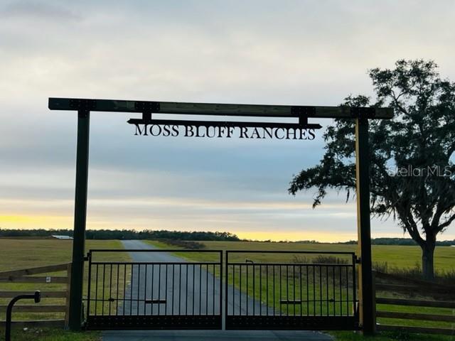 MOSS BLUFF RANCHES - Land