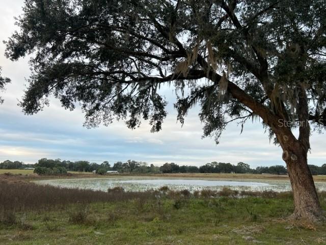 MOSS BLUFF RANCHES - Land