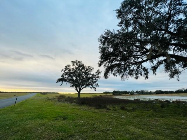 MOSS BLUFF RANCHES - Land