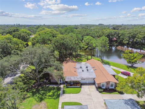 A home in PALM HARBOR