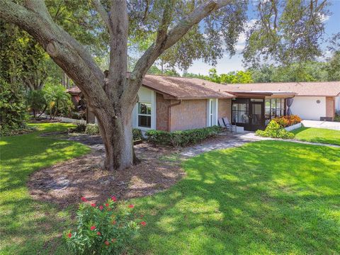 A home in PALM HARBOR