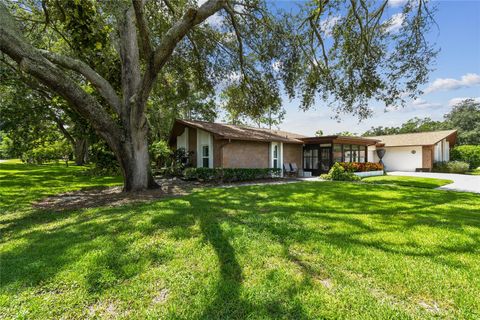 A home in PALM HARBOR