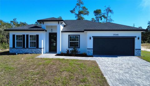 Photo of 17045 SW 30th Avenue Road, Ocala, FL 34473 (MLS # O6349341)
