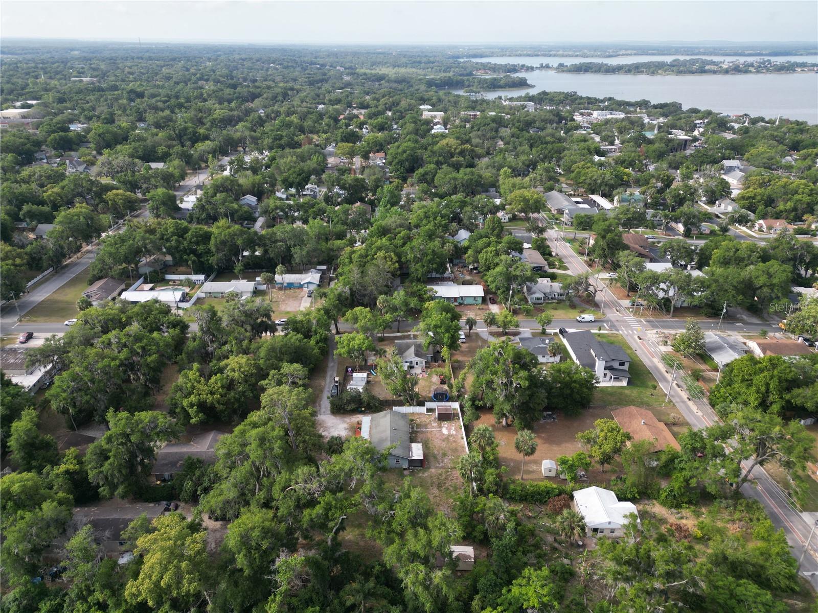 MOUNT DORA GULLERS HOMESTEAD - Residential