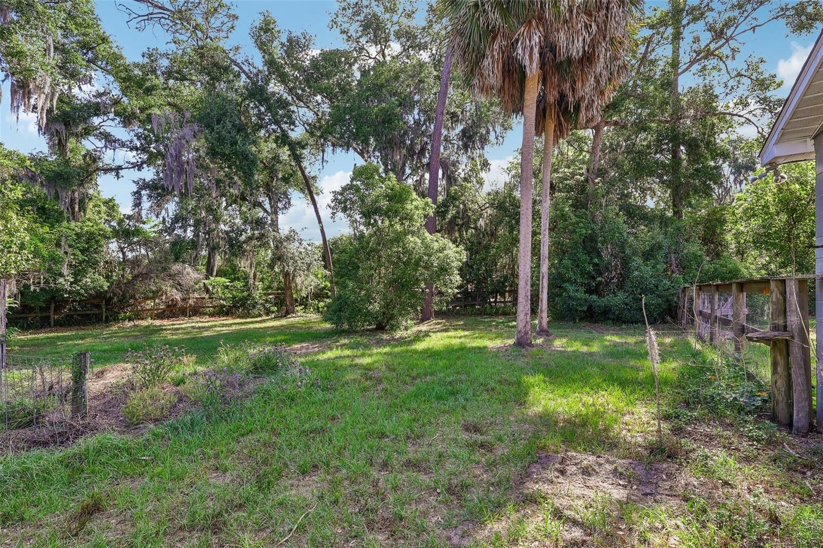 MOUNT DORA GULLERS HOMESTEAD - Residential