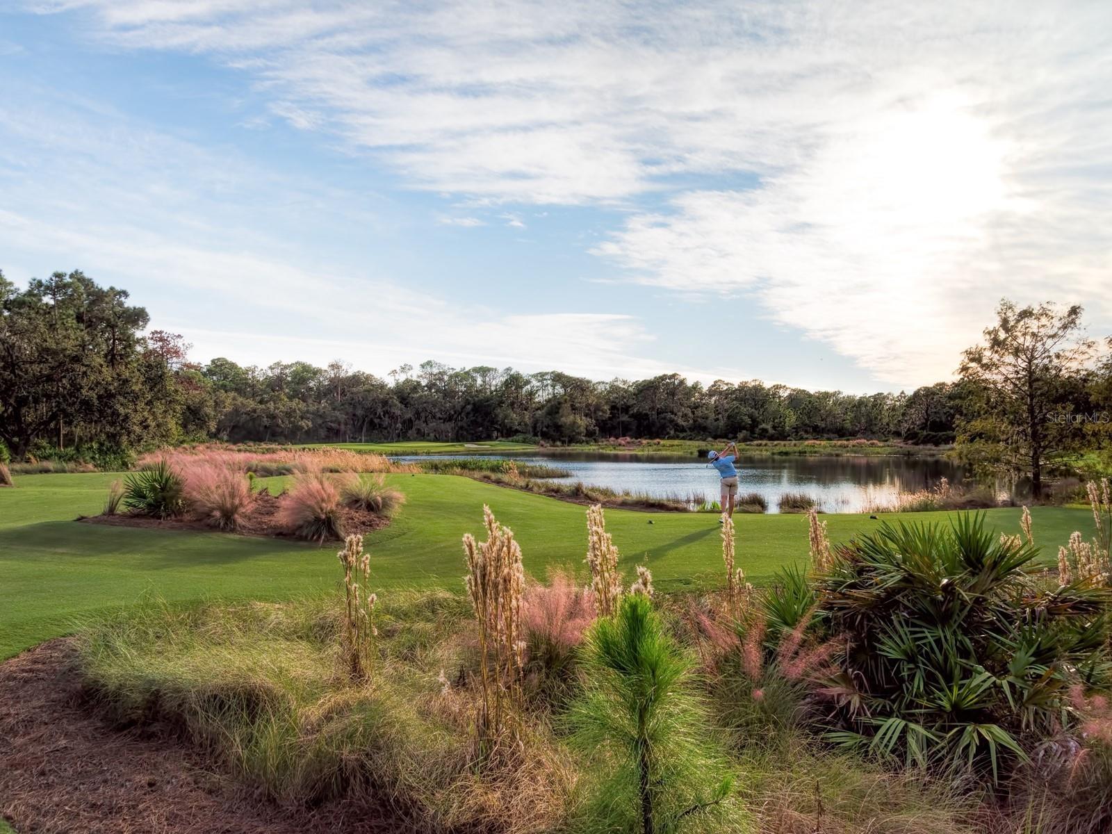 CONCESSION PH I - Residential