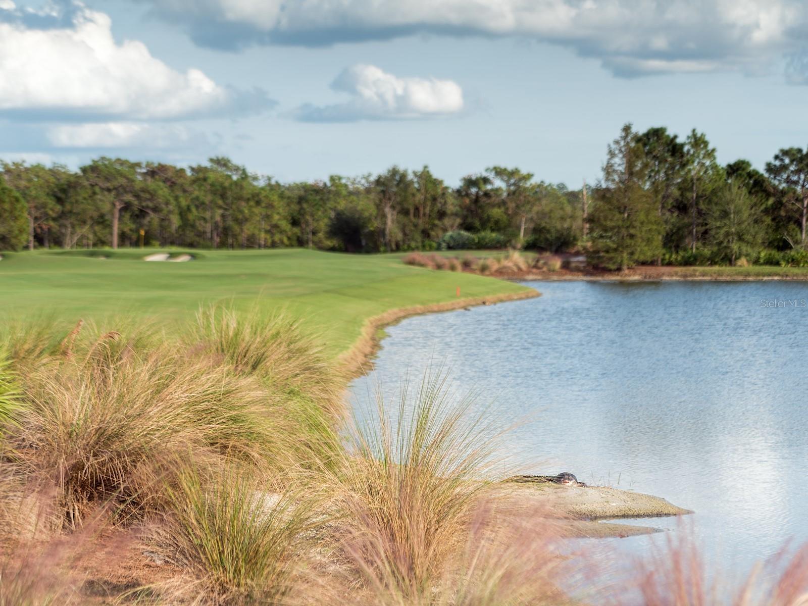 CONCESSION PH I - Residential