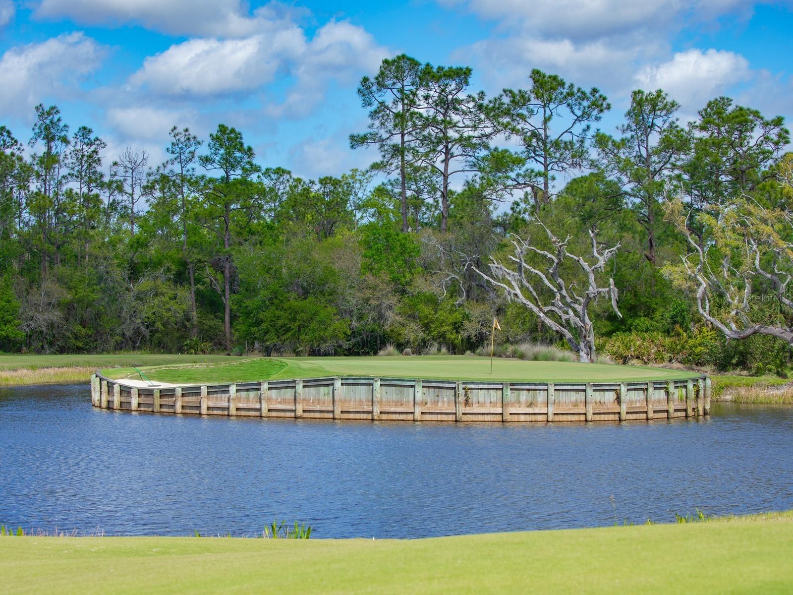 CONCESSION PH I - Residential