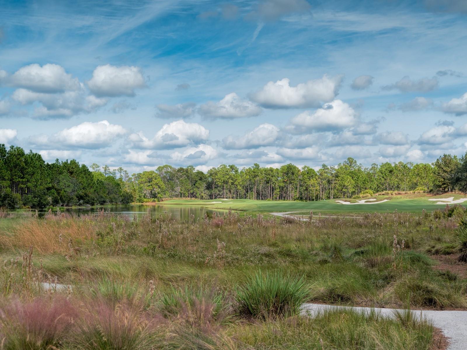 CONCESSION PH I - Residential