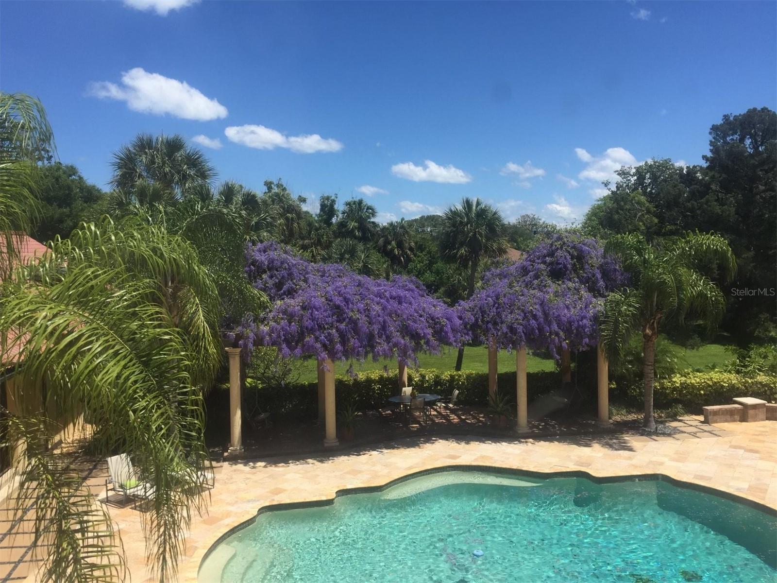 ASSESSORS ORMOND BEACH - Residential