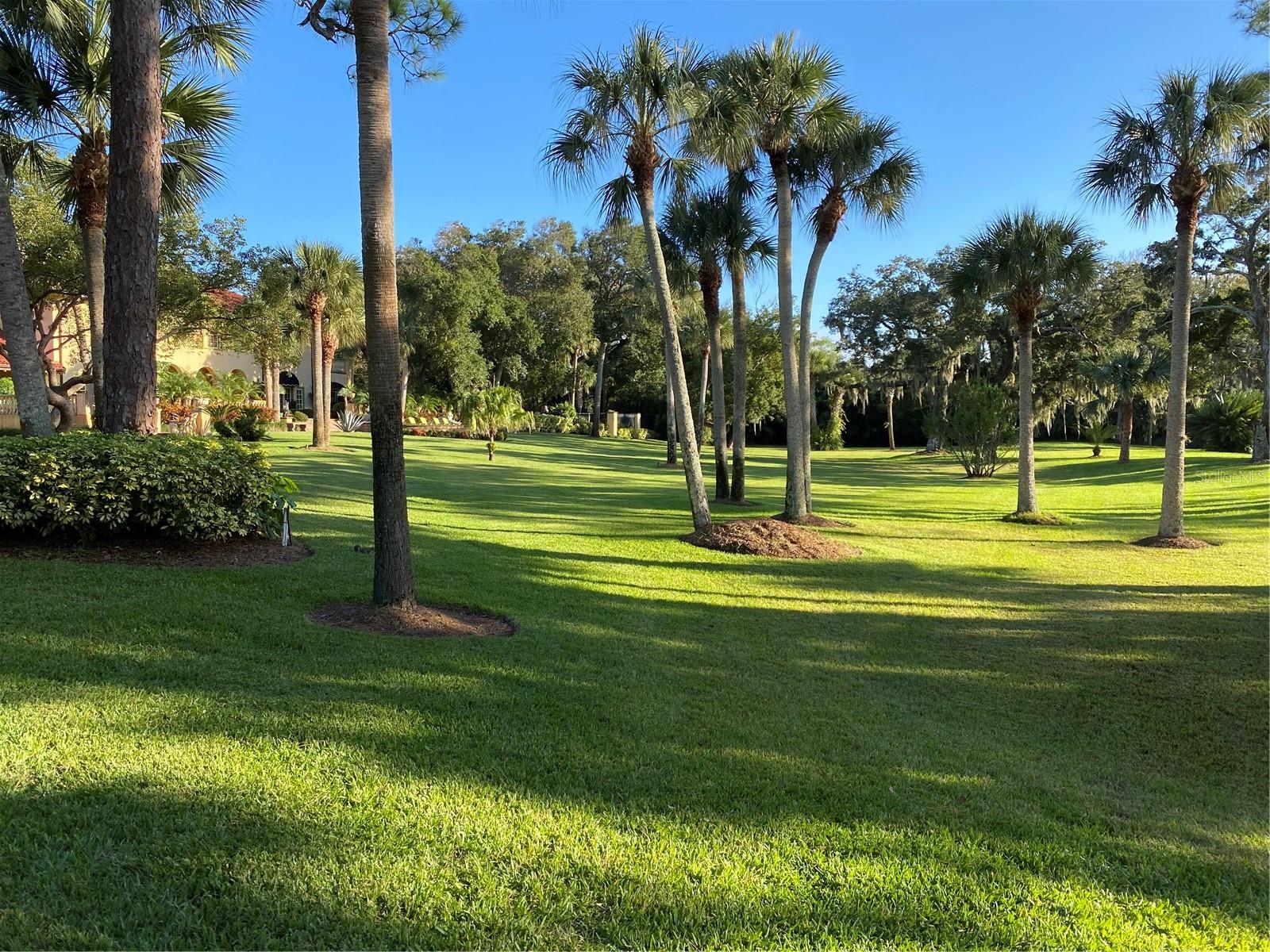 ASSESSORS ORMOND BEACH - Residential