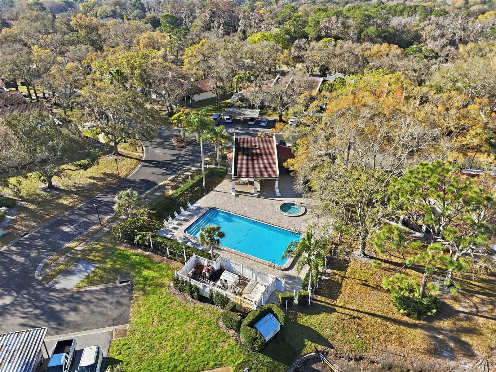 TARPON WOODS CONDO - Residential