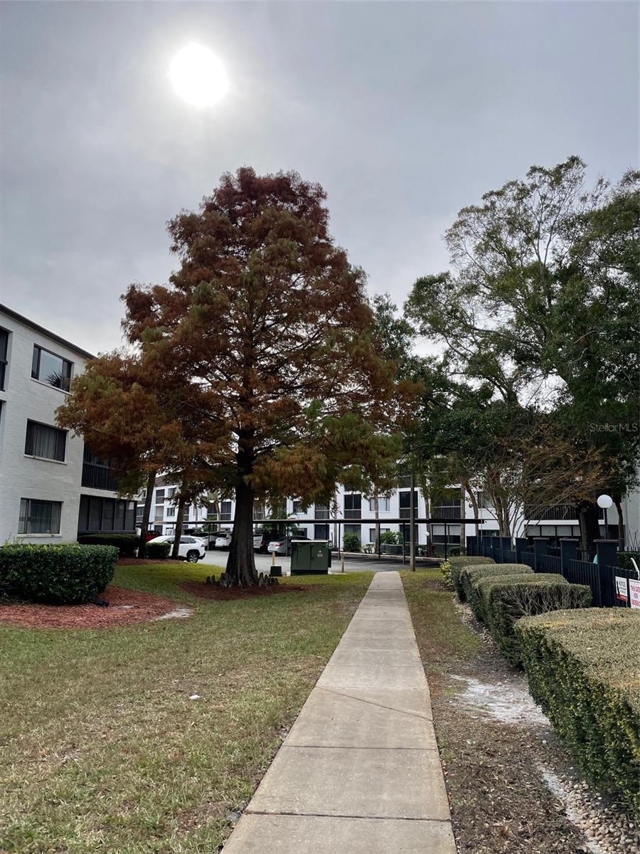 INVERNESS CONDO - Residential