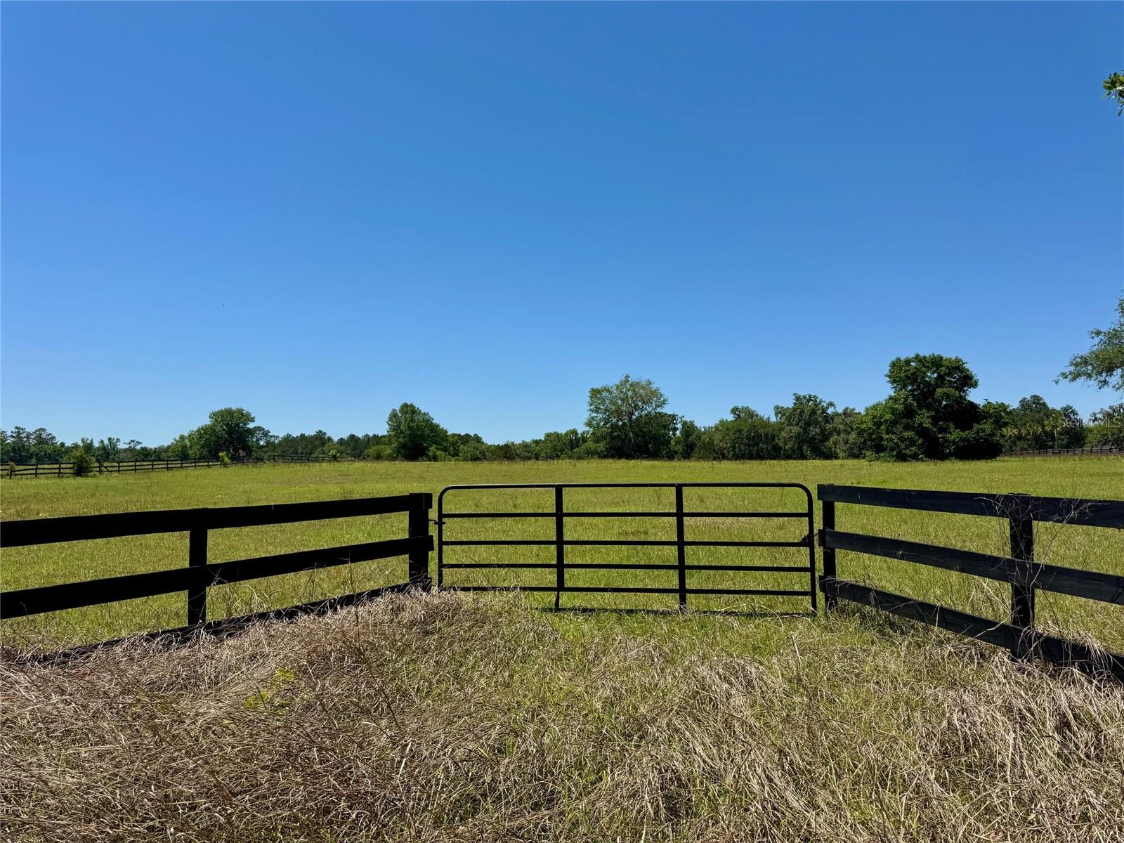 GROVE HOLLOW FARMS - Land