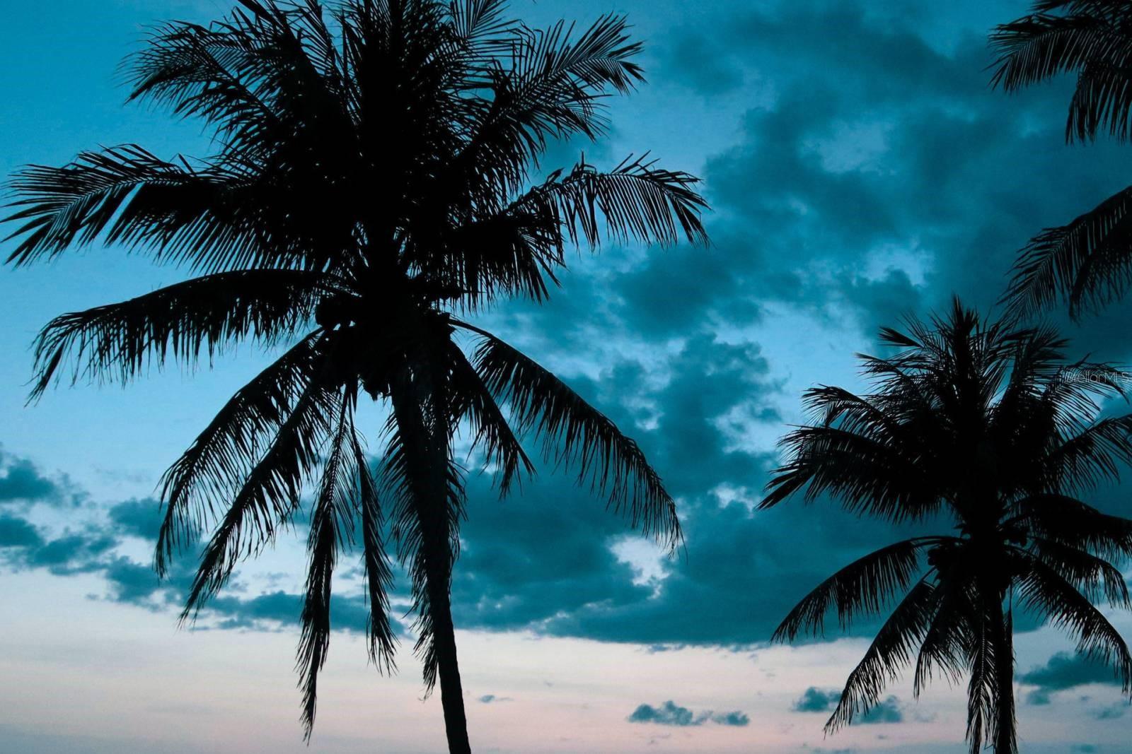 OUR HOUSE AT THE BCH PHII - Residential