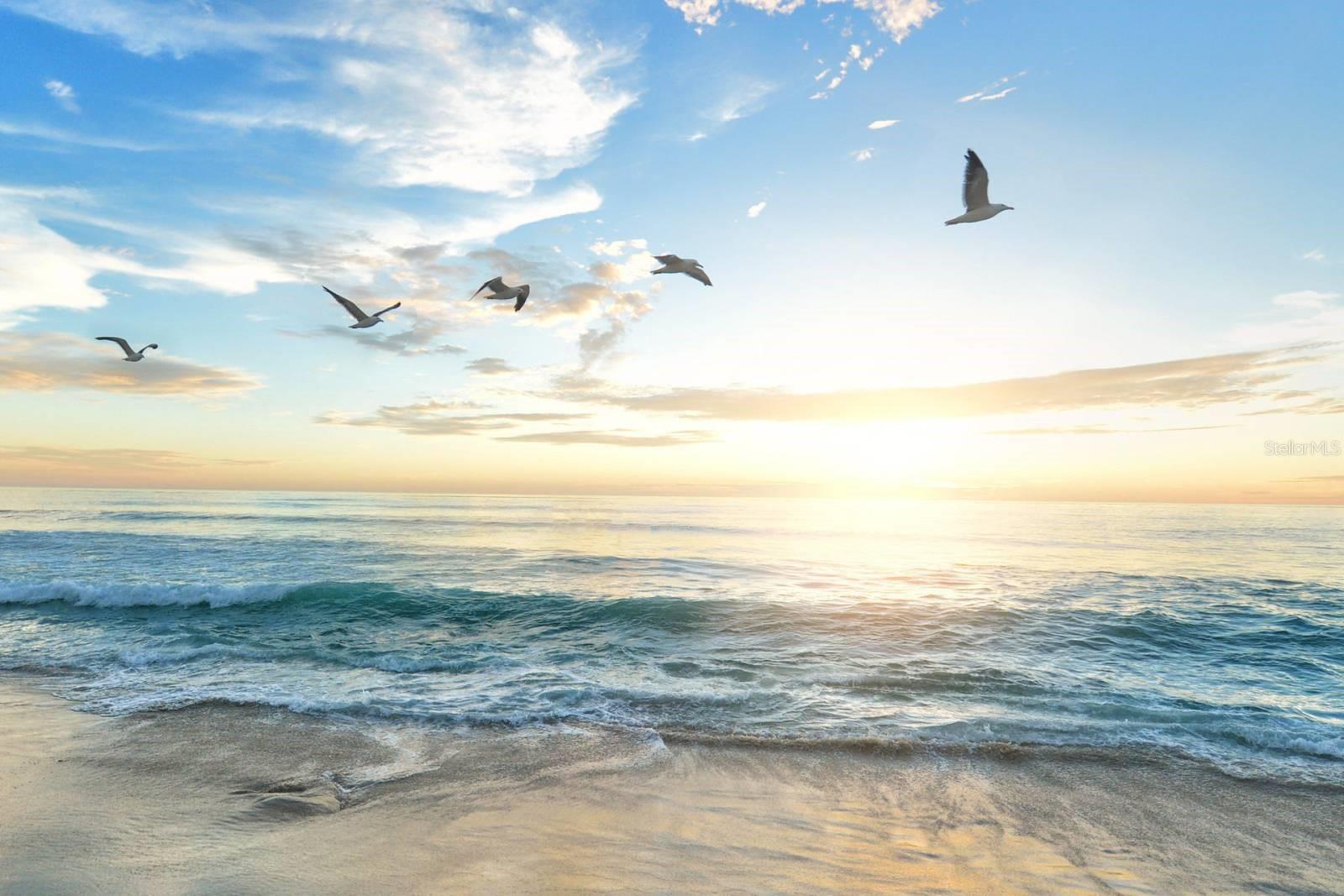 OUR HOUSE AT THE BCH PHII - Residential