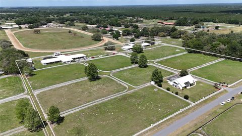 Photo of 4450 SE 216th Avenue, Morriston, FL 32668 (MLS # OM722939)