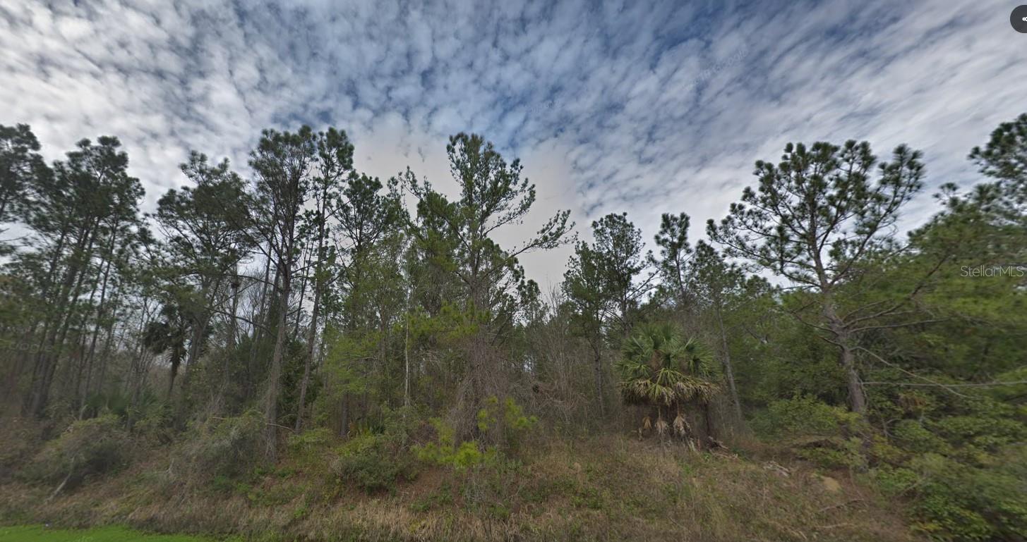 Private 1.15 Acre Parcel! Zoned Vacant Residential Land in Charming Flagler Estates. Mobile Homes Allowed or Build Your Dream Home!! No HOA Means Complete Freedom!! The Property is 165 Ft Wide and 304 Ft Deep. Bring Your Animals- Live Stock, RV, Boats and All The Toys!! Room for a Pool on this Expansive 1.15 Acre Parcel. Rural Living at It’s Best ~ Enjoy Tranquility and Privacy at this Homesite but Still Enjoy, Dining, Entertainment and So Much More Nearby! Endless Adventures Await in St Augustine Including Gorgeous Beaches! This Area of Flagler Estates is Blossoming with Development but Still Affordable! If You Are Ready to Enjoy Florida Lifestyle Near the Ocean Make this Gem Yours! This Great Location is Just 30 minutes from the Palm Coast and 42 minutes from St. Augustine, Florida. Acces from Division St. or Jonathan St.