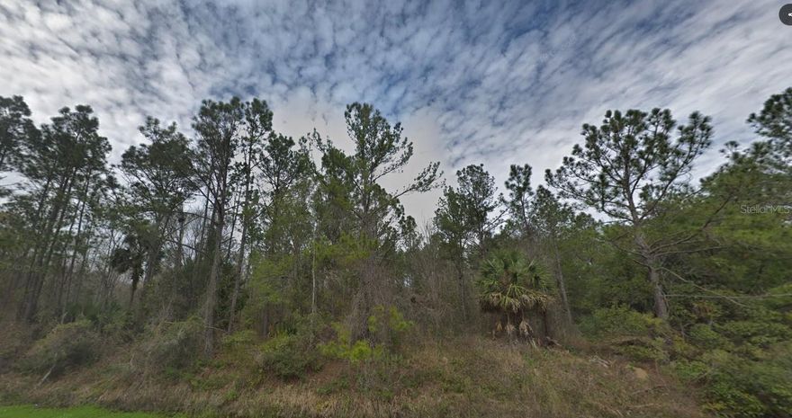 Private 1.15 Acre Parcel! Zoned Vacant Residential Land in Charming Flagler Estates. Mobile Homes Allowed or Build Your Dream Home!! No HOA Means Complete Freedom!! The Property is 165 Ft Wide and 304 Ft Deep.  Bring Your Animals- Live Stock, RV, Boats and All The Toys!! Room for a Pool on this Expansive 1.15 Acre Parcel.  Rural Living at It’s Best ~ Enjoy Tranquility and Privacy at this Homesite but Still Enjoy, Dining, Entertainment and So Much More Nearby!  Endless Adventures Await in  St Augustine Including Gorgeous Beaches!  This Area of Flagler Estates is Blossoming with Development but Still Affordable!  If You Are Ready to Enjoy Florida Lifestyle Near the Ocean Make this Gem Yours!  This Great Location is Just 30 minutes from the Palm Coast and 42 minutes from St. Augustine, Florida. Acces from Division St. or Jonathan St.