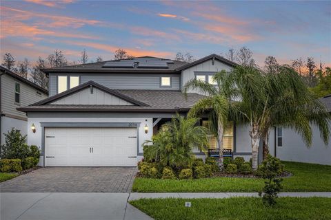 Single Family Residence in LAND O LAKES FL 20718 MONZA LOOP.jpg