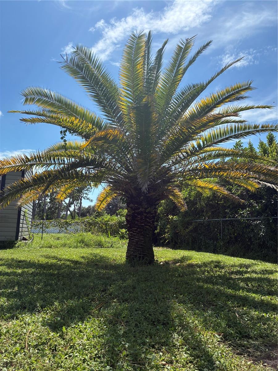 Photo of 90 Harwich Circle, Englewood, FL 34223 (MLS # A4709465)