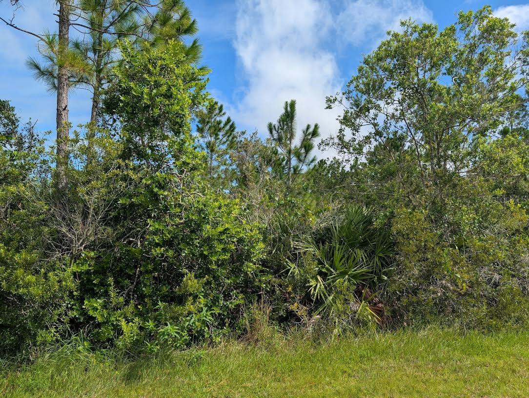 INDIAN LAKE ESTATES - Land