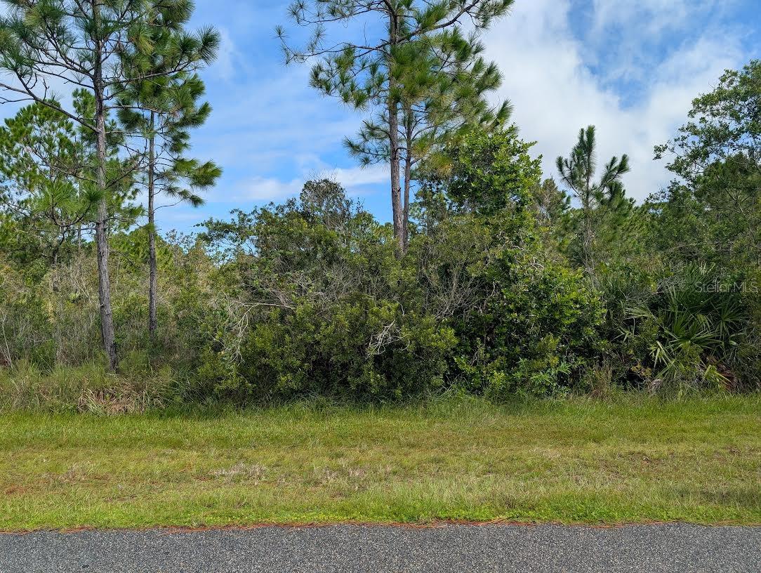 Come build your forever home on this one-half acre lot that located in the lake community of Indian Lake Estates, a golfing, fishing and boating community in the center of Florida. Indian Lake Estates is about 20 miles east of Lake Wales. The community surrounds the 7,500 acre lake locally known as Lake Walk In Water, nationally known for its fishing and considered to be one of the best bass fishing lakes in all Florida. The lake has a beach, boat ramp, boat marina and the longest freshwater Fishing pier in the State of Florida. The pavilion is located at the front of the pier and is complete with propane grills and covered picnic tables. The community amenities include an 18-hole golf course, basketball and tennis courts, 23, 000 sq.ft. clubhouse, cafe, post office, churches, library, fitness room and pro shop. If you love nature and the peace and quiet of the country you're in luck. Wildlife is plentiful! You will see deer, raccoon, turkey, turtles, cranes and various species of birds that call Indian Lake Estates their home. Orlando and Disney is only about an hour's drive north and Tampa, Busch Gardens, and the Gulf's pristine beaches only a little over an hour west. Historic Bok Tower, a National Landmark, is in nearby Lake Wales. The Westgate River Ranch Resort and Rodeo is just six miles away. An authentic Florida dude ranch and full-service resort offering guests the opportunity to experience "Old Florida." Encompassing 1,700 beautiful acres, Westgate River Ranch features horseback riding, wildlife airboat and swamp buggy rides, Saturday night championship rodeo, trap/skeet range, nature hikes, petting farm, marina, Adventure Park with zip line and rock climbing wall, Westgate Smokehouse Grill and River Ranch Saloon and much more. Cowboy-themed accommodations range from ranch-themed lodge guestrooms and deluxe lodge suites to spacious cottages, two-bedroom cabins, Glamping and Luxe Teepees. Come out and see how great life can be at Indian Lake Estates! Polk County's best kept secret!