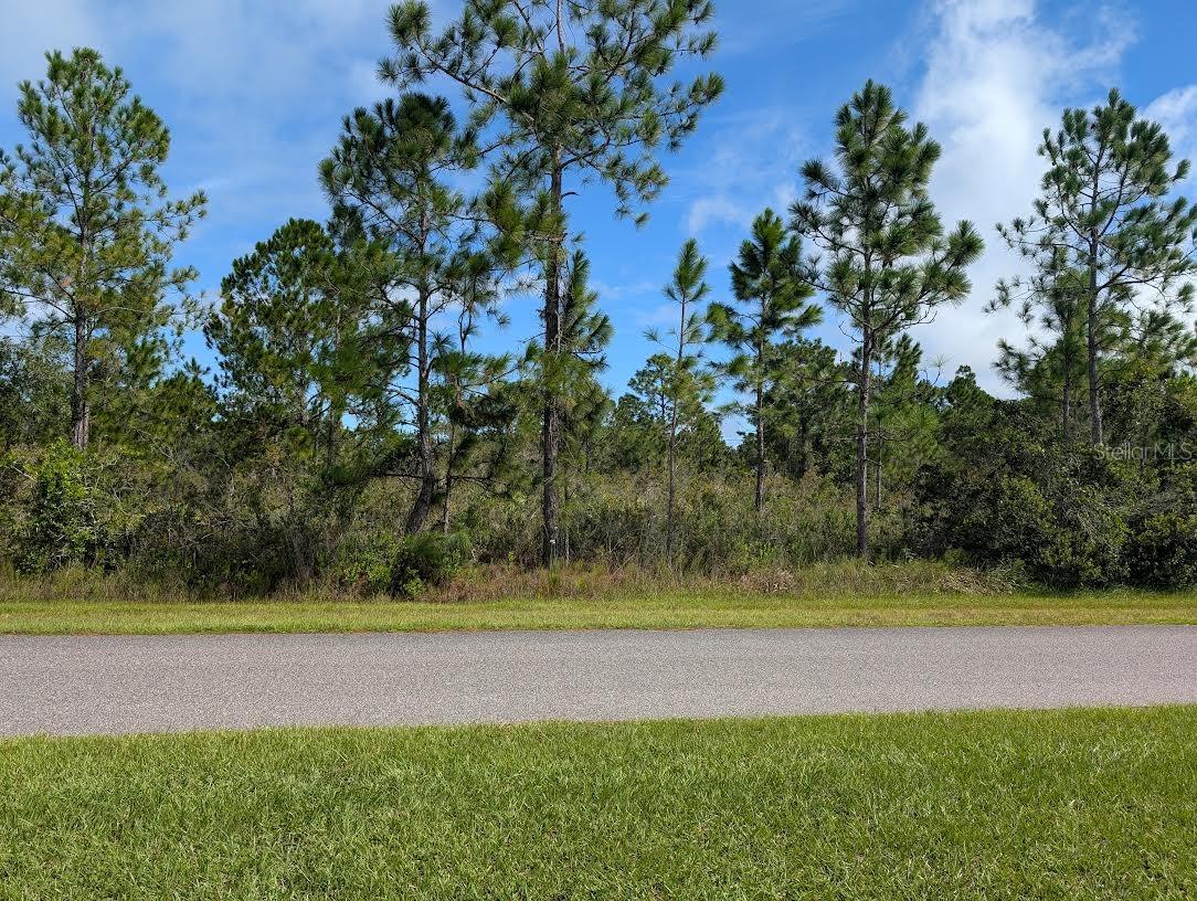 INDIAN LAKE ESTATES - Land