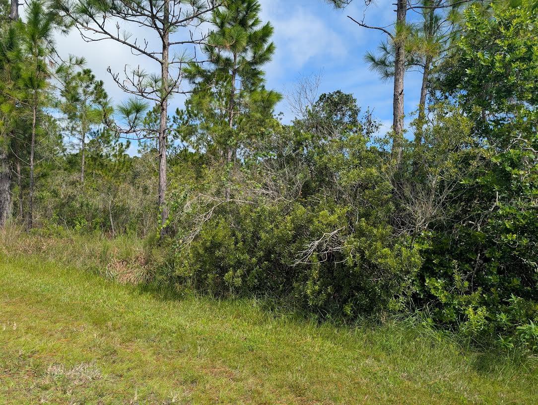 INDIAN LAKE ESTATES - Land